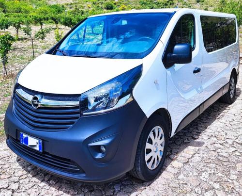 OPEL VIVARO 9 POSTI 2